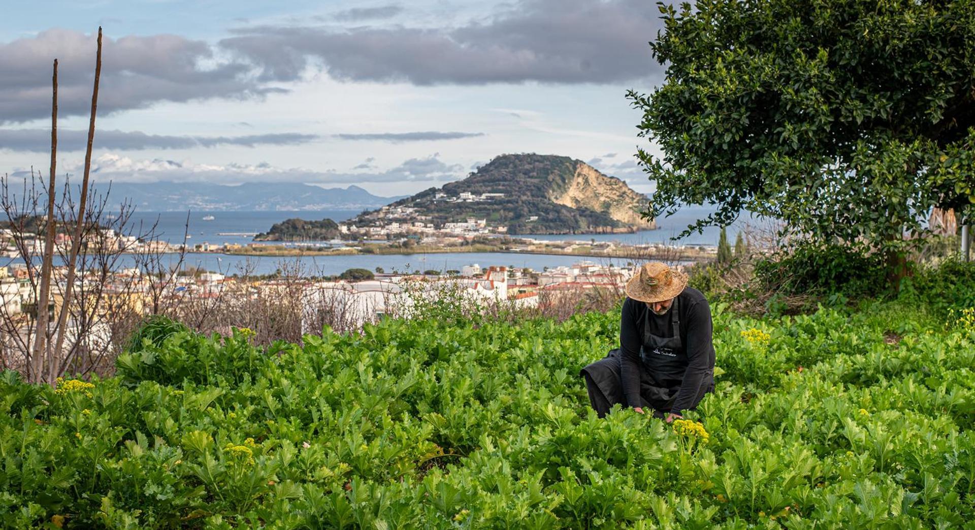 Don Salvatore Resort Monte di Procida Bagian luar foto